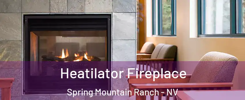 Heatilator Fireplace Spring Mountain Ranch - NV