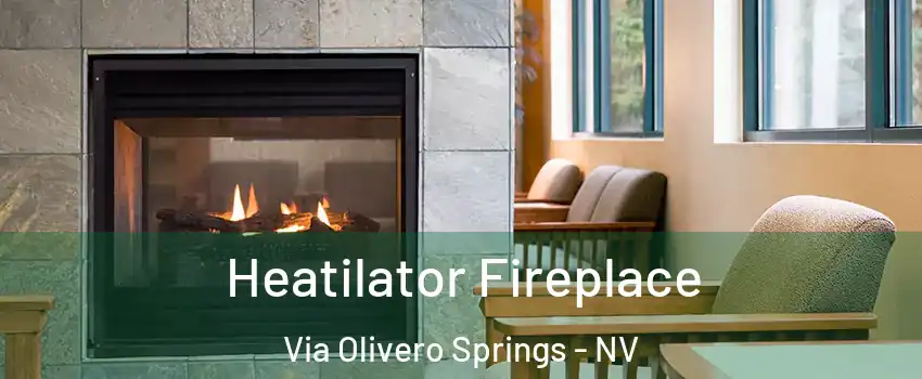 Heatilator Fireplace Via Olivero Springs - NV