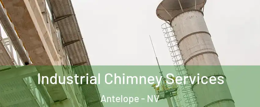 Industrial Chimney Services Antelope - NV