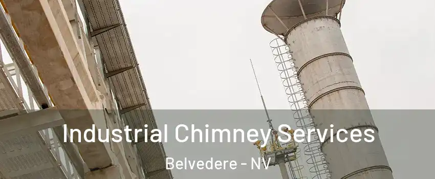Industrial Chimney Services Belvedere - NV