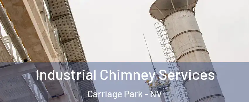 Industrial Chimney Services Carriage Park - NV