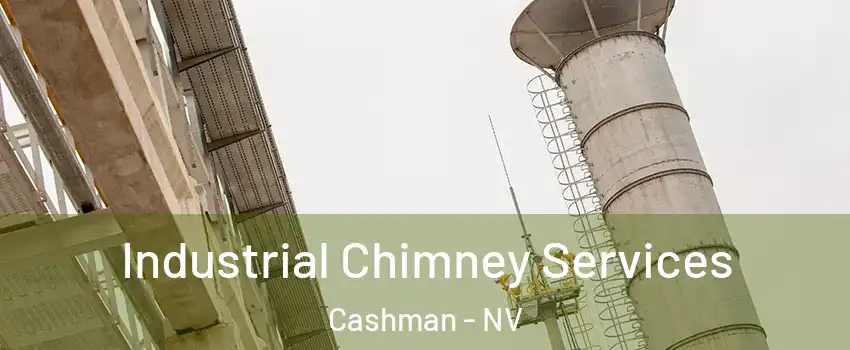 Industrial Chimney Services Cashman - NV