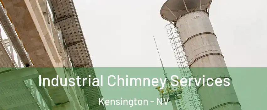 Industrial Chimney Services Kensington - NV