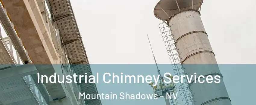 Industrial Chimney Services Mountain Shadows - NV