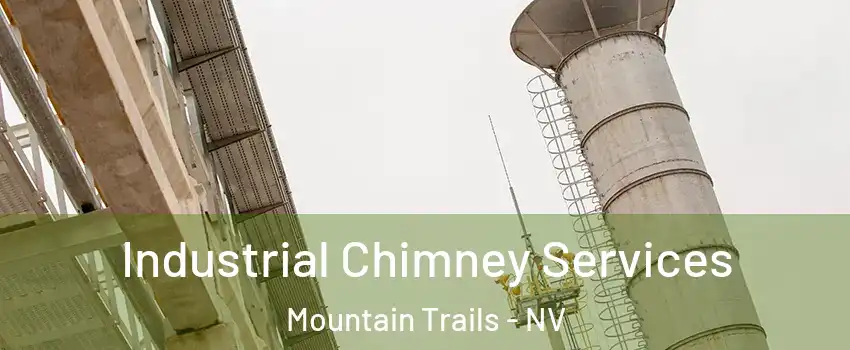 Industrial Chimney Services Mountain Trails - NV