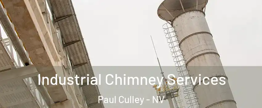 Industrial Chimney Services Paul Culley - NV
