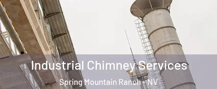 Industrial Chimney Services Spring Mountain Ranch - NV
