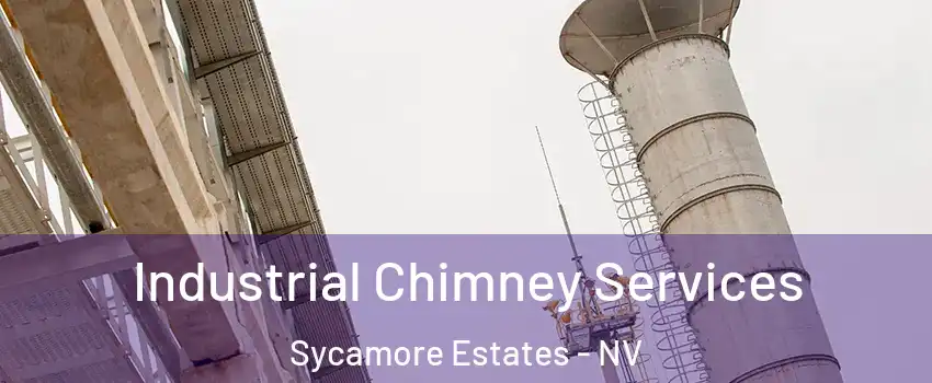 Industrial Chimney Services Sycamore Estates - NV