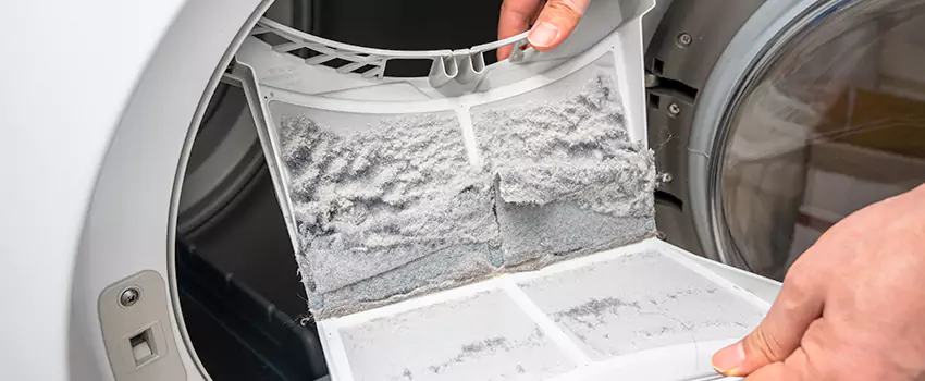 Best Dryer Lint Removal Company in Westleigh, Nevada