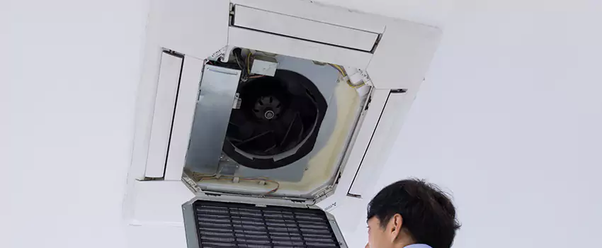 Benefits of Professional Air Duct Cleaning in Woodcrest, Nevada