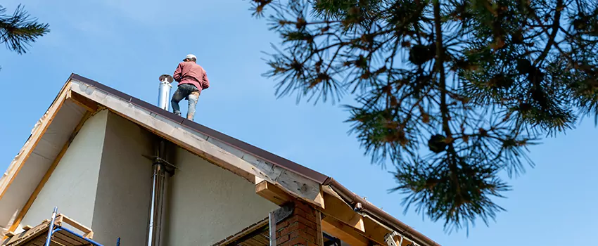 Birds Removal Contractors from Chimney in Woodcrest, NV