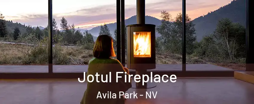 Jotul Fireplace Avila Park - NV