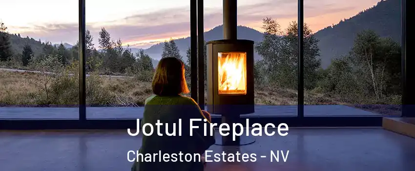 Jotul Fireplace Charleston Estates - NV