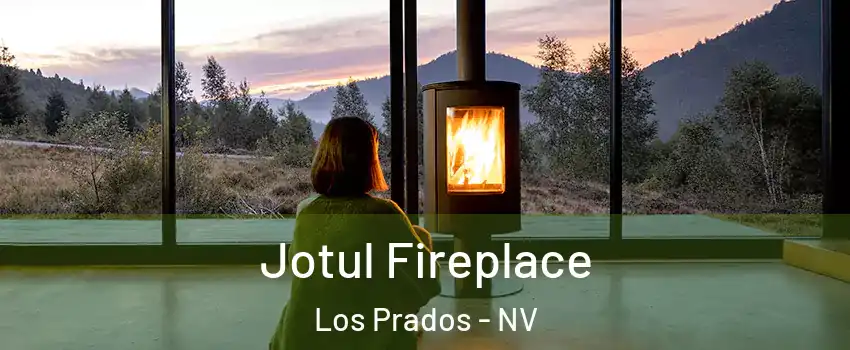 Jotul Fireplace Los Prados - NV
