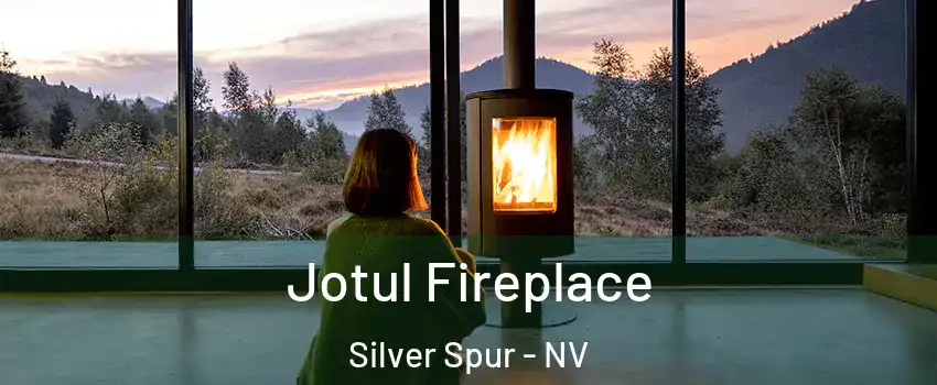 Jotul Fireplace Silver Spur - NV