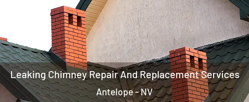 Leaking Chimney Repair And Replacement Services Antelope - NV