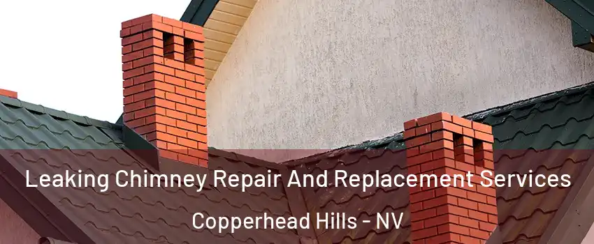 Leaking Chimney Repair And Replacement Services Copperhead Hills - NV