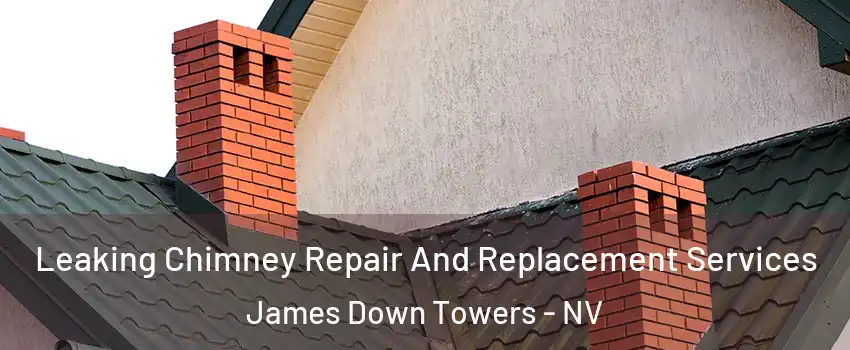 Leaking Chimney Repair And Replacement Services James Down Towers - NV