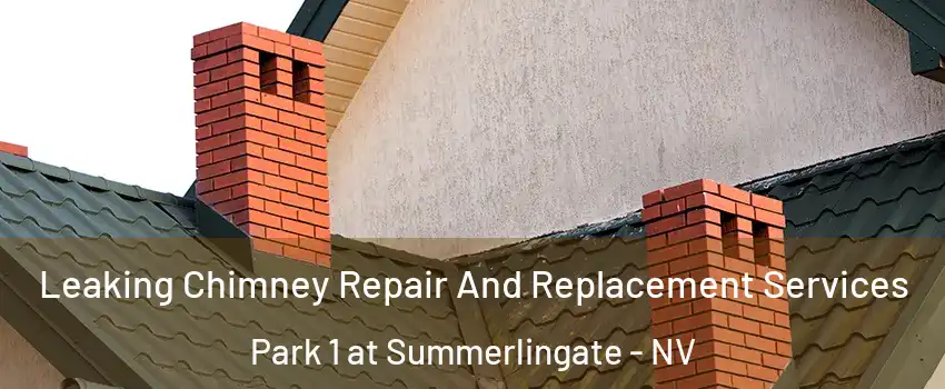 Leaking Chimney Repair And Replacement Services Park 1 at Summerlingate - NV