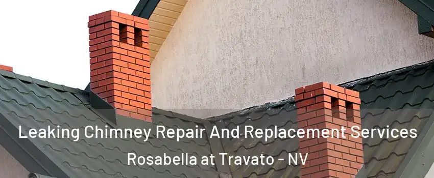 Leaking Chimney Repair And Replacement Services Rosabella at Travato - NV