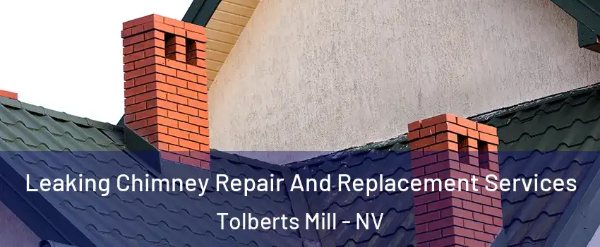 Leaking Chimney Repair And Replacement Services Tolberts Mill - NV