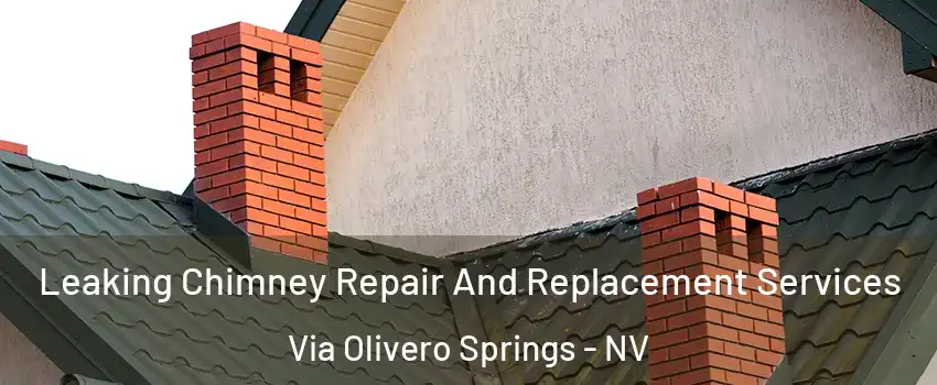 Leaking Chimney Repair And Replacement Services Via Olivero Springs - NV
