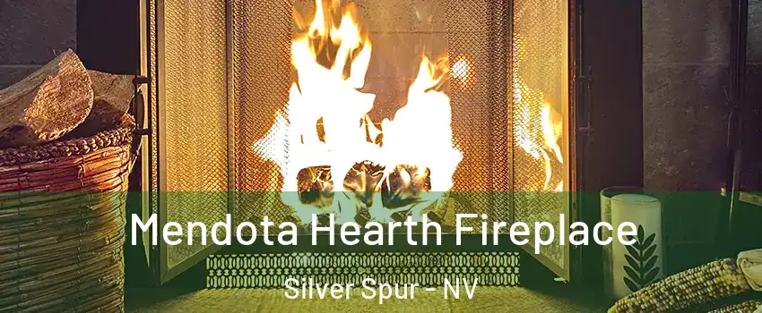 Mendota Hearth Fireplace Silver Spur - NV