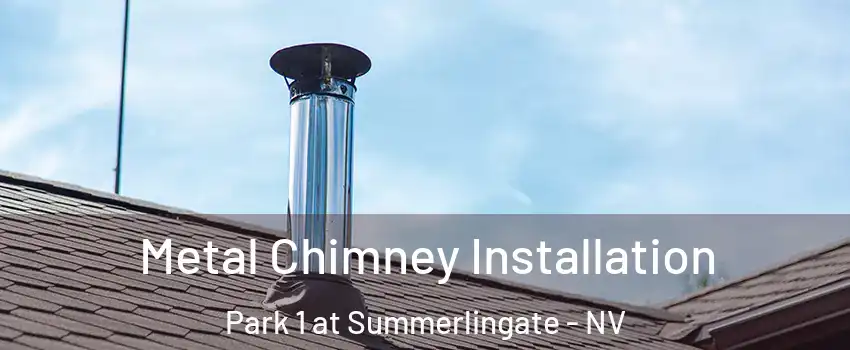 Metal Chimney Installation Park 1 at Summerlingate - NV