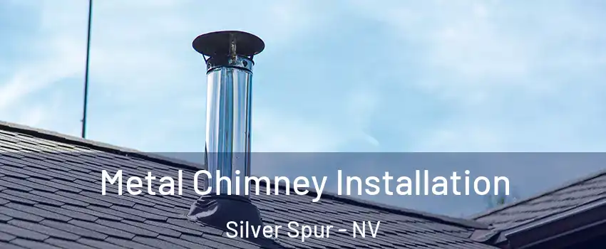 Metal Chimney Installation Silver Spur - NV