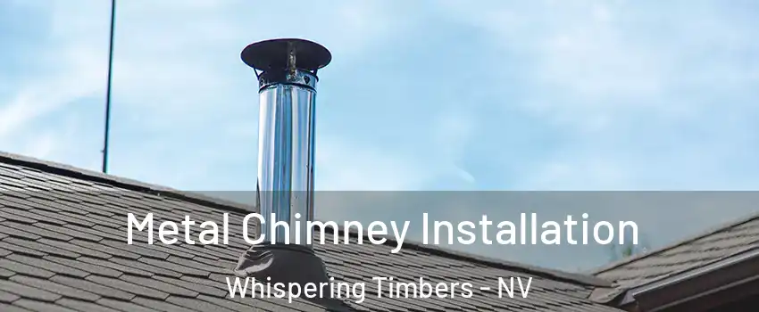 Metal Chimney Installation Whispering Timbers - NV
