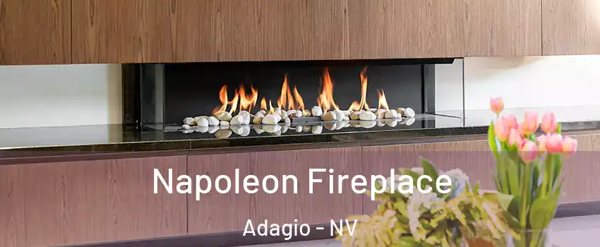 Napoleon Fireplace Adagio - NV