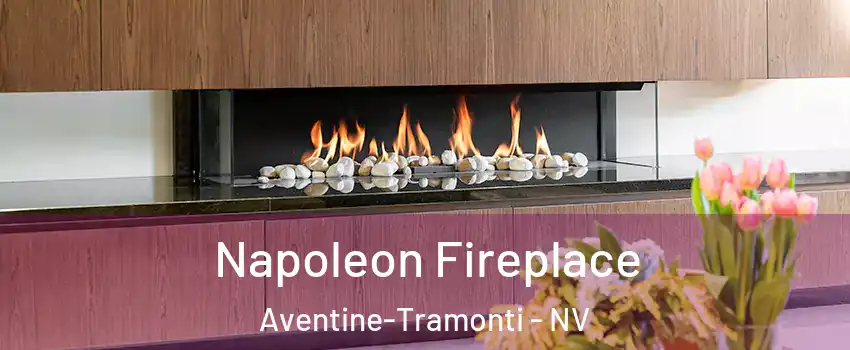 Napoleon Fireplace Aventine-Tramonti - NV