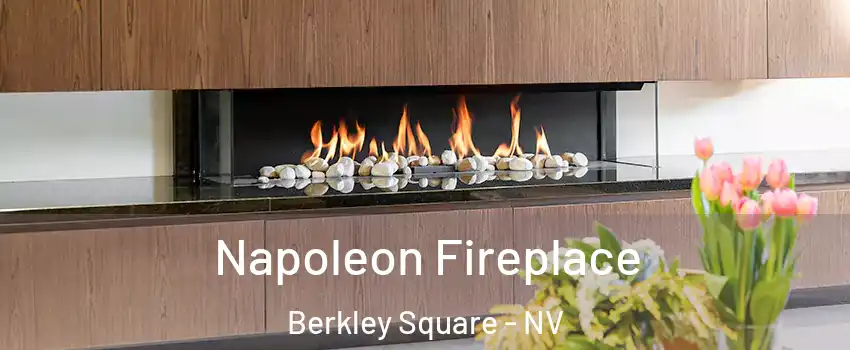 Napoleon Fireplace Berkley Square - NV