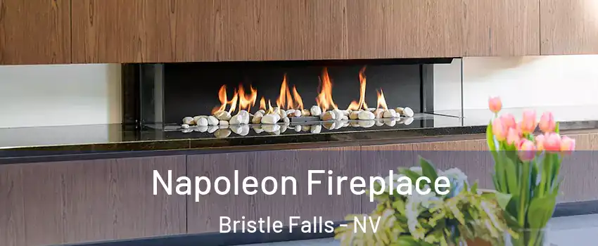 Napoleon Fireplace Bristle Falls - NV