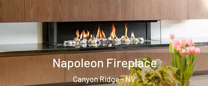 Napoleon Fireplace Canyon Ridge - NV
