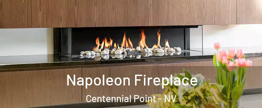 Napoleon Fireplace Centennial Point - NV