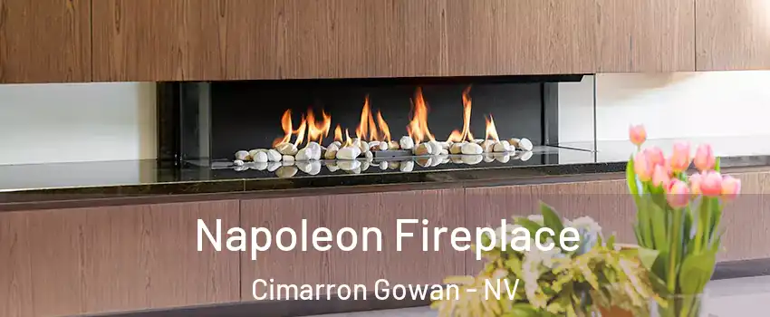 Napoleon Fireplace Cimarron Gowan - NV