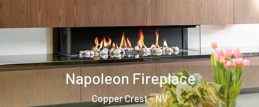 Napoleon Fireplace Copper Crest - NV