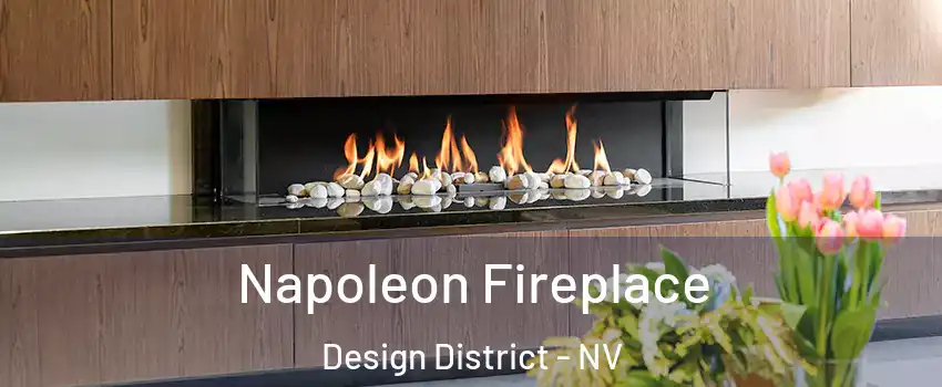 Napoleon Fireplace Design District - NV