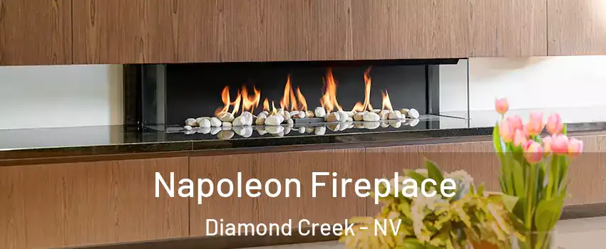 Napoleon Fireplace Diamond Creek - NV