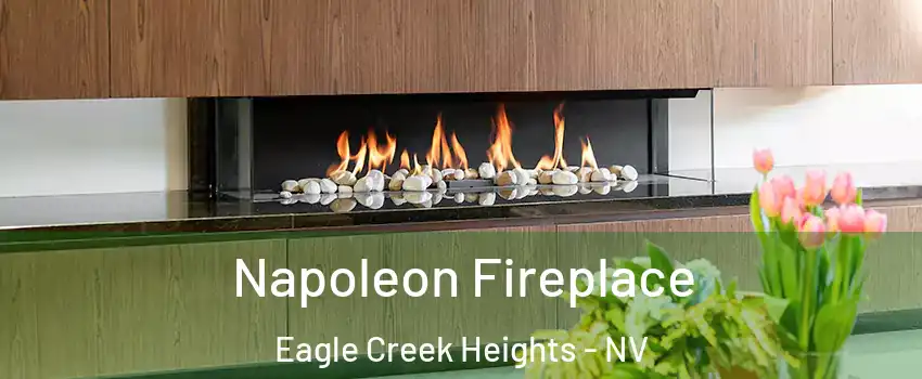 Napoleon Fireplace Eagle Creek Heights - NV
