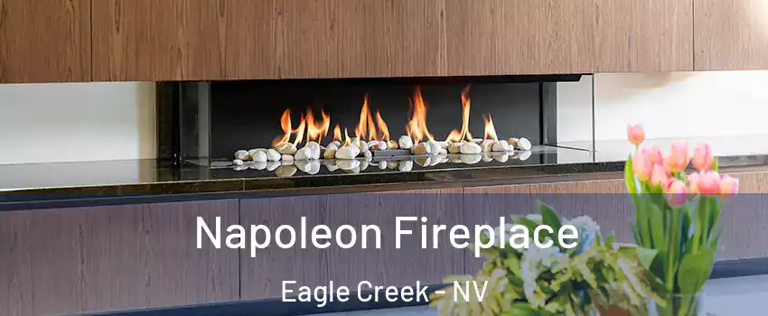 Napoleon Fireplace Eagle Creek - NV