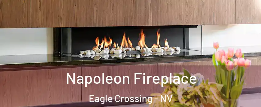 Napoleon Fireplace Eagle Crossing - NV