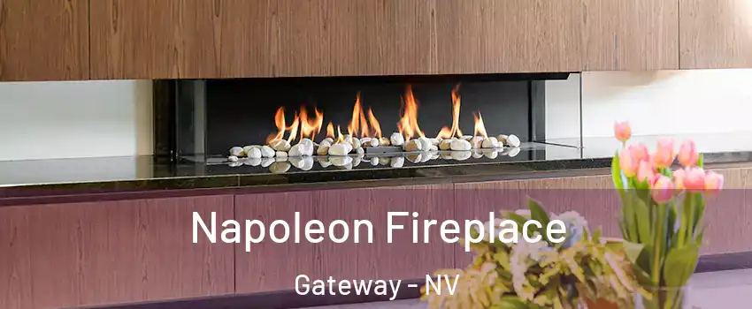 Napoleon Fireplace Gateway - NV