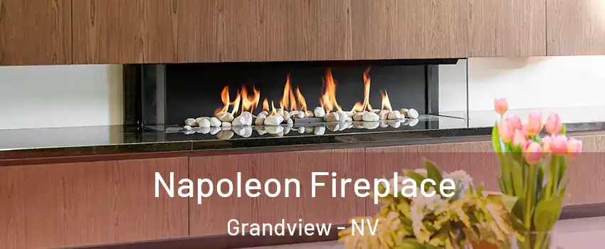 Napoleon Fireplace Grandview - NV