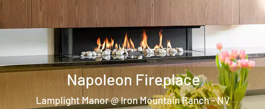 Napoleon Fireplace Lamplight Manor @ Iron Mountain Ranch - NV