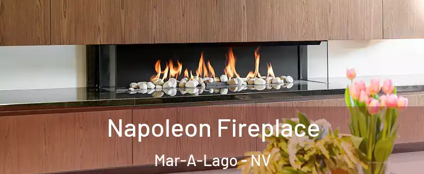 Napoleon Fireplace Mar-A-Lago - NV
