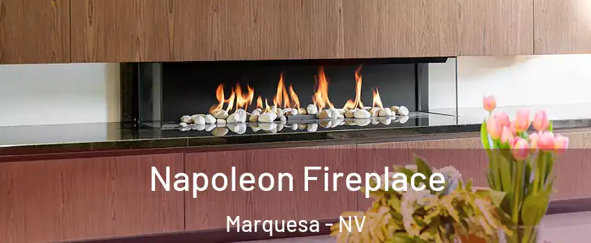 Napoleon Fireplace Marquesa - NV