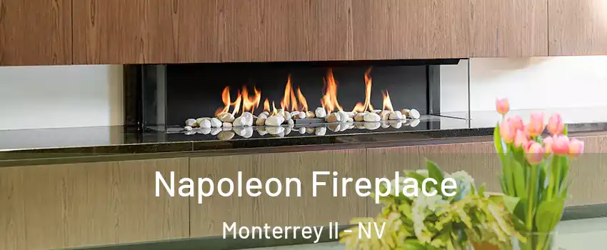 Napoleon Fireplace Monterrey II - NV