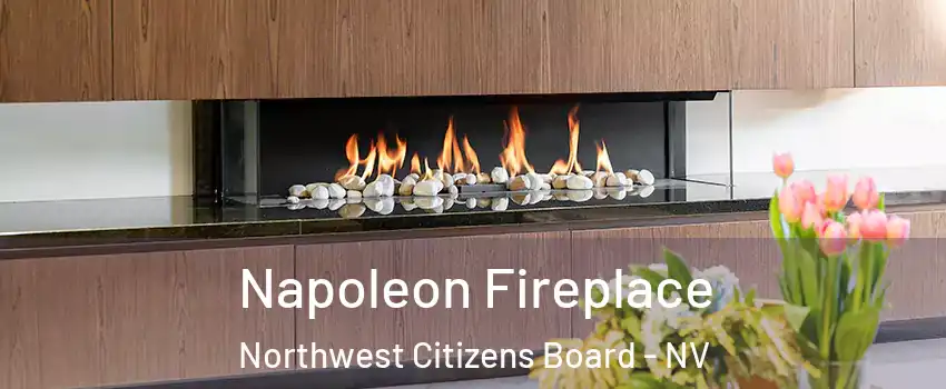 Napoleon Fireplace Northwest Citizens Board - NV